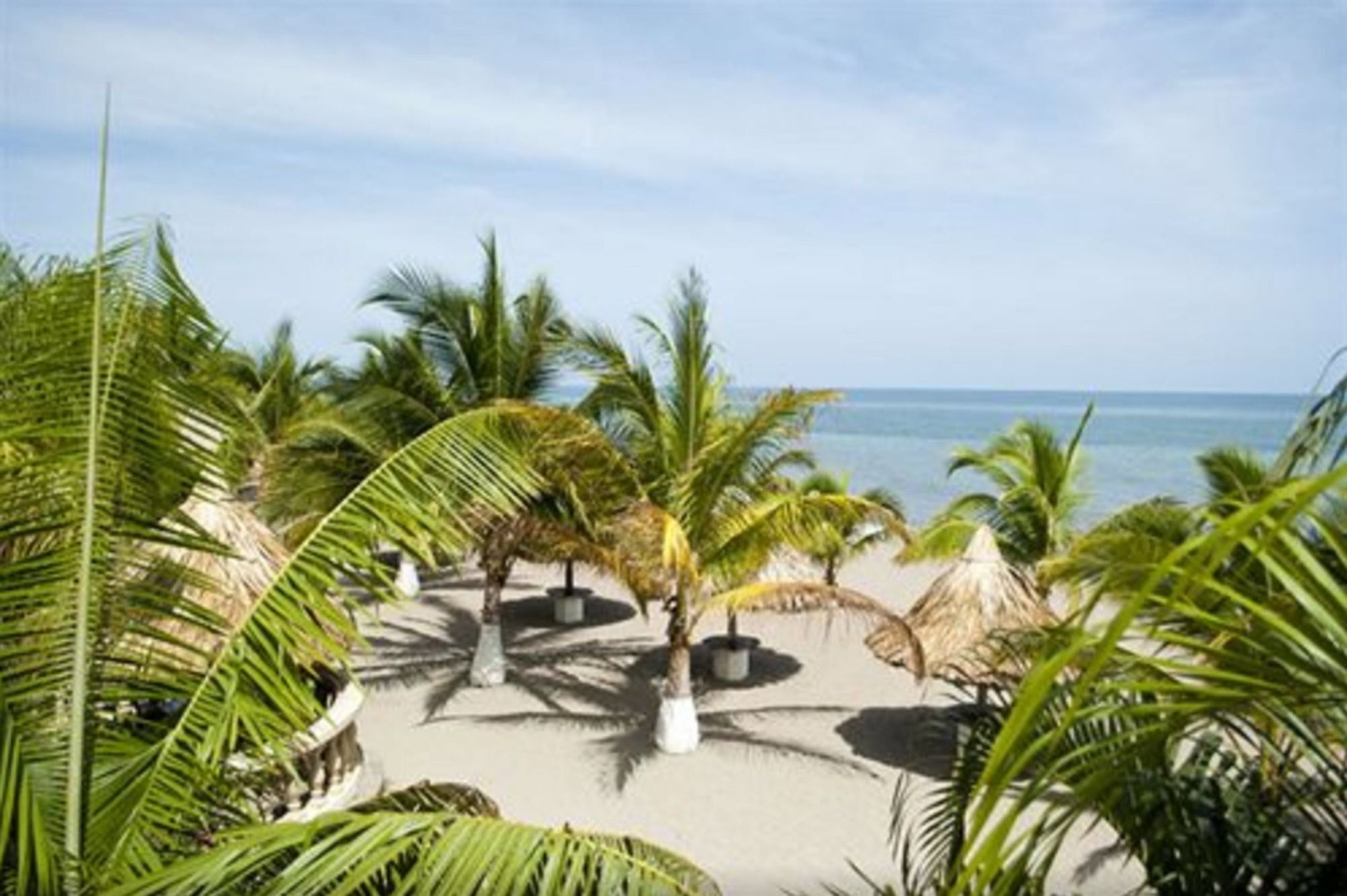 Hotel Quinta Real La Ceiba Dış mekan fotoğraf